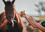 Horse, woman veterinary and medicine syringe outdoor for health and wellness in countryside. Doctor, professional nurse or vet person hands with animal for help, injection and medical care at a ranch