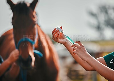 Buy stock photo Horse, woman veterinary and medicine syringe outdoor for health and wellness in countryside. Doctor, professional nurse or vet person hands with animal for help, injection and medical care at a ranch