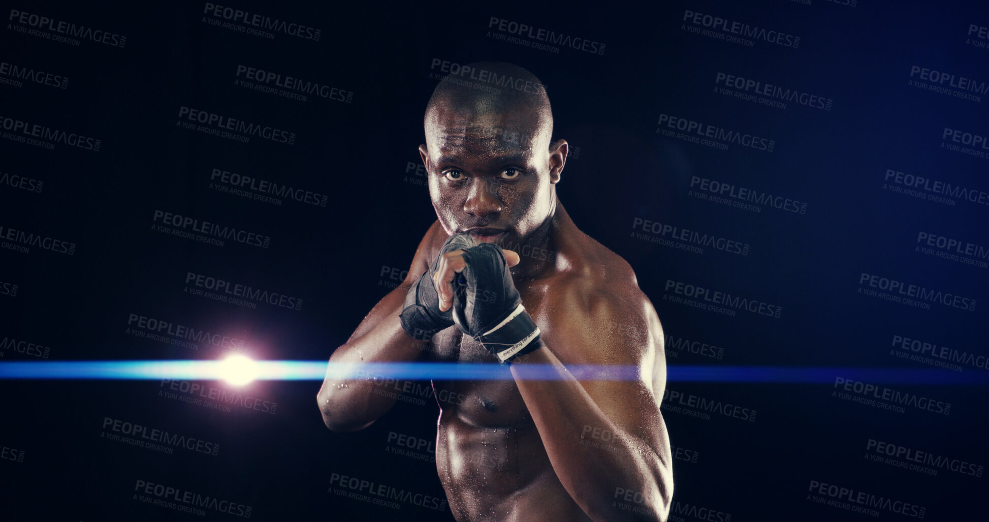 Buy stock photo African man, fist and portrait for martial arts in studio with gloves, power and fitness by black background. Person, athlete and ready for combat sports, contest or competition with pride in Nigeria