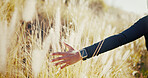 Peace, field and hand of person in nature for environment, travel adventure and freedom. Growth, wellness and sustainability with woman and plants in countryside meadow for vacation, park and calm