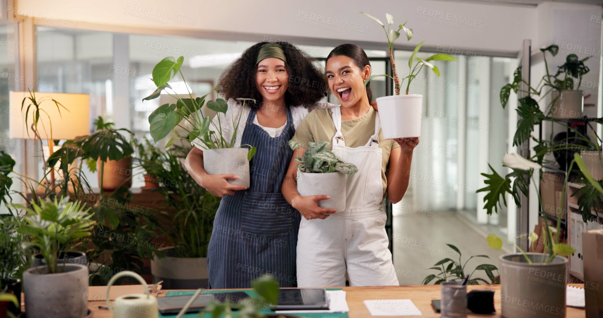 Buy stock photo Women, florist and pot plants with partner at shop for portrait, support and happy at small business. People, excited and team for botany, smile or container with sustainability at store in Colombia
