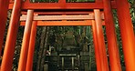 Nature, forest and Torii gate monument in Kyoto with peace, mindfulness and travel with spiritual history. Architecture, Japanese culture and Shinto shrine in woods with sculpture, memorial and trees