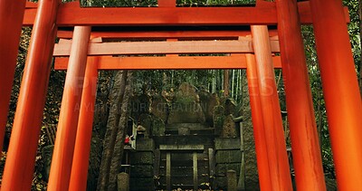 Buy stock photo Nature, forest and Torii gate monument in Kyoto with peace, mindfulness and travel with spiritual history. Architecture, Japanese culture and Shinto shrine in woods with sculpture, memorial and trees