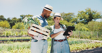 Buy stock photo Farm, tablet and people with vegetables talking for growth, sustainability and harvesting crops. Agriculture, nature and man and woman on tech for environment, plant health and online inspection