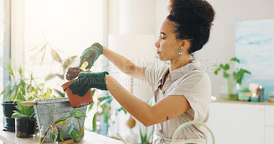 Buy stock photo Gardening, potted plant and woman in kitchen of home with tools for planting flowers as horticulture hobby. Botany, growth and soil with person in apartment for decor, growing herbs or landscaping