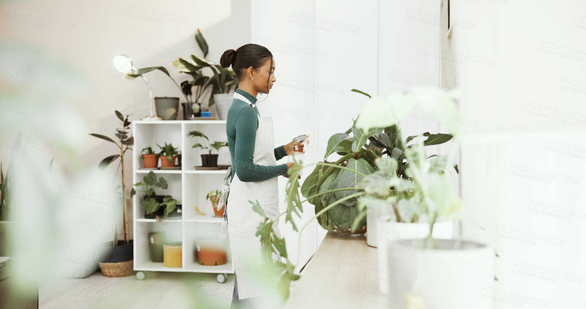 Buy stock photo Woman, botanist and spray plants at shop, startup and care for growth, sustainability and job. Person, bottle and fertilizer with leaves, nutrients and water for hydration at eco friendly store