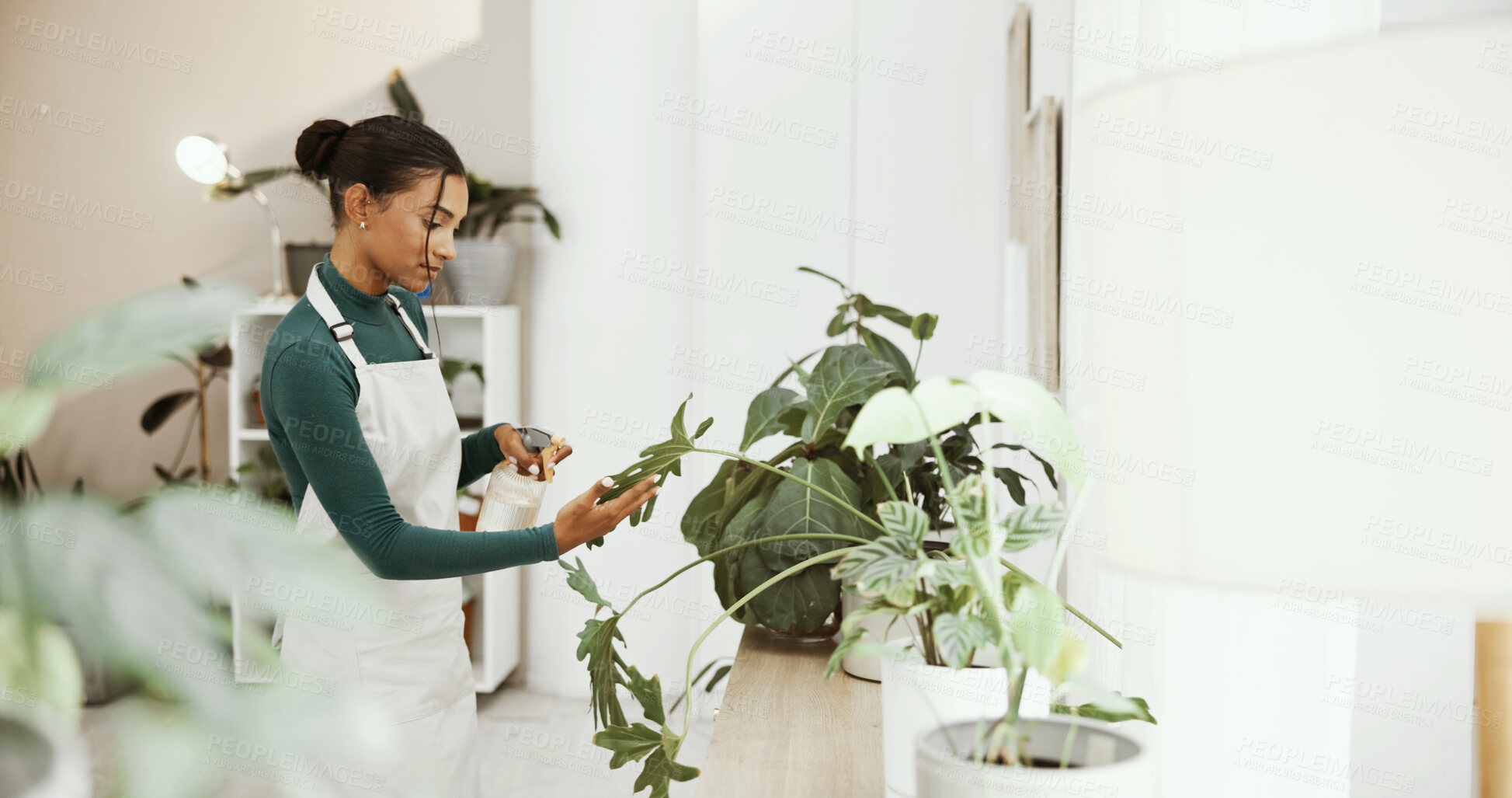 Buy stock photo Woman, botanist and spray plants at store, startup and care for growth, sustainability and job. Person, bottle and fertilizer with leaves, nutrients and water for hydration at eco friendly shop