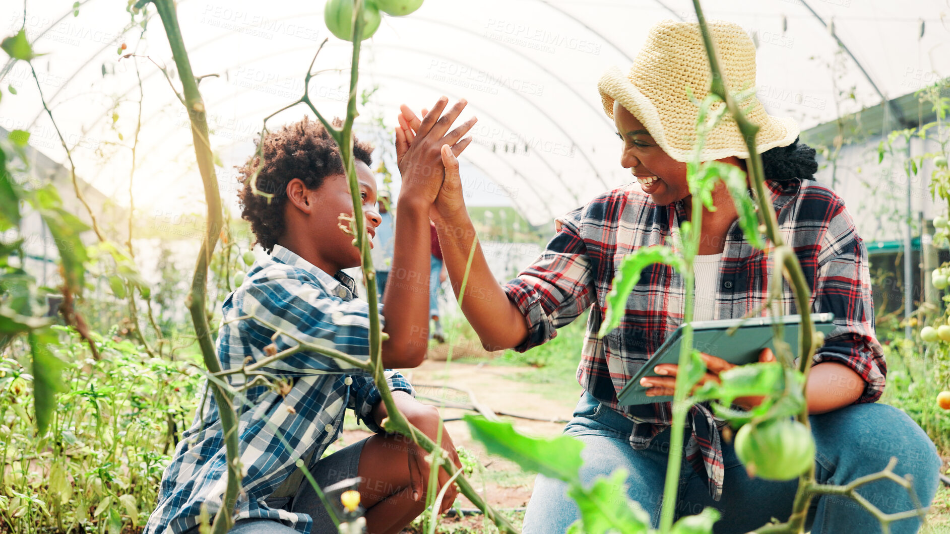 Buy stock photo Gardening, mother and boy with vegetables, high five and greenhouse with nature, bonding together and teaching. Family, mama and parent with child, support and growth with environment, app and tablet
