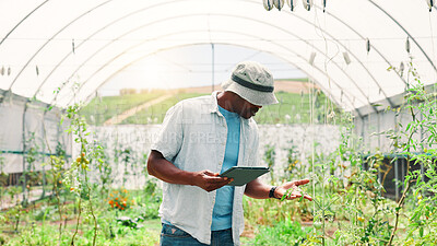 Buy stock photo Greenhouse, black man and plants with tablet for agriculture, information and app for harvesting tips. Farming, male person and farmer with tech for online inspection, sustainability and crops growth