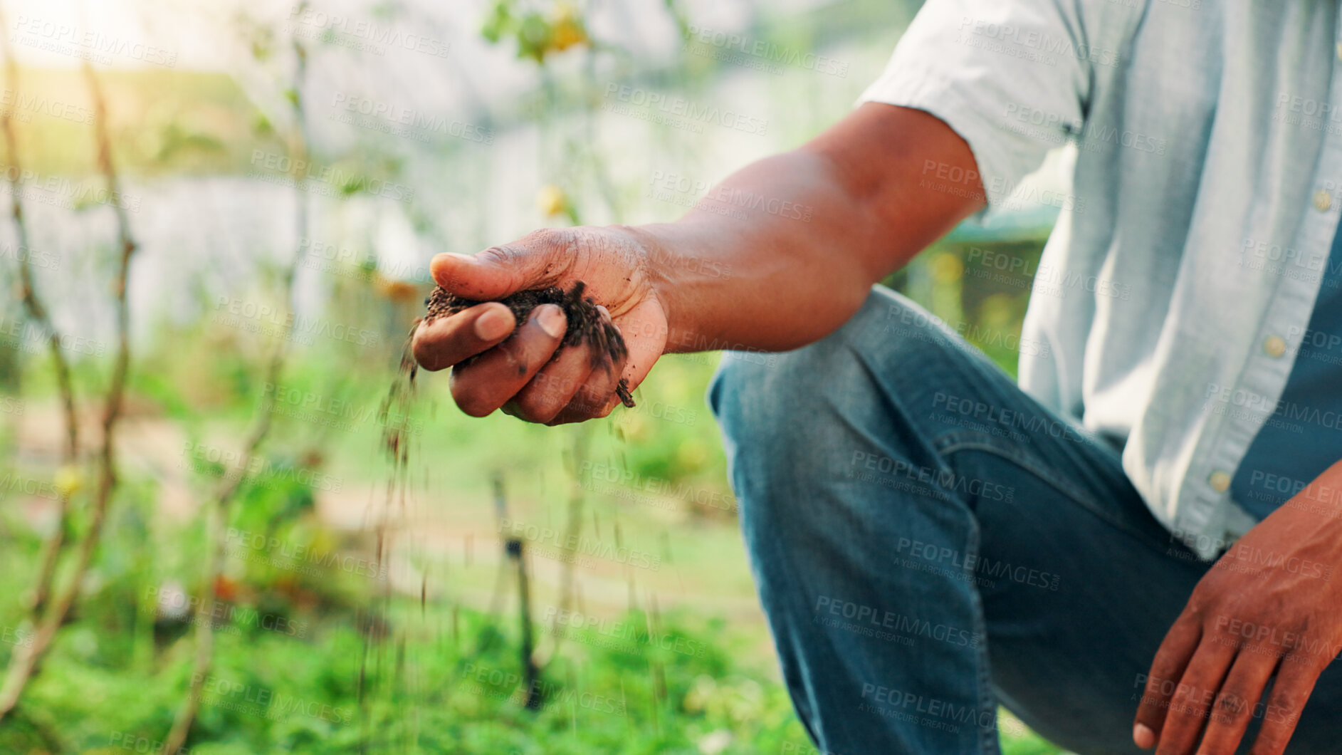Buy stock photo Hands, agriculture and soil inspection in greenhouse for quality assurance, fertility and dirt with sustainability. Person, check and earth for plants, crops and ph level with texture in countryside