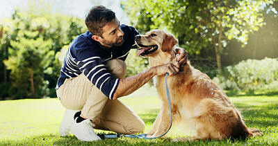 Buy stock photo Relax, dog and leash with man in park for bonding, foster care and animal training. Golden retriever, summer and Happiness with person and pet adoption in nature for canine, support and wellness