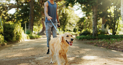 Buy stock photo Path, dog and walking with man in park for bonding, foster care and animal training. Golden retriever, summer and travel with person and pet adoption in nature for canine, support and wellness