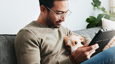 Buy stock photo Home, dog and man on sofa, tablet and relax with social media, internet and communication. Apartment, person and guy on couch, tech and best friend with pet, connection and website info for animals