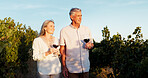 Love, walk and wine with old couple in vineyard for romance, anniversary date and bonding. Happiness, retirement and support with senior man and woman at winery for drink, relax and vacation
