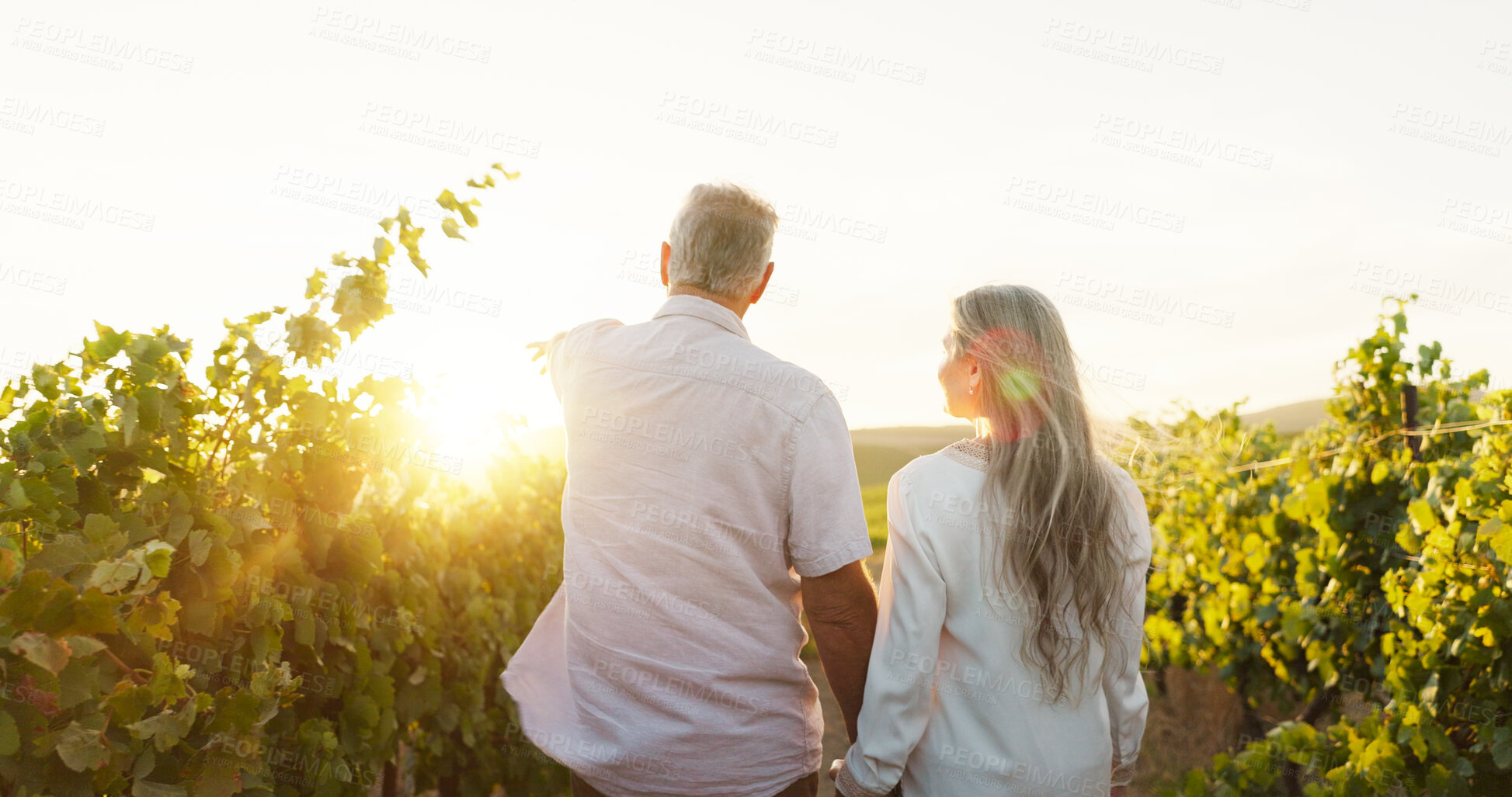 Buy stock photo Love, back and holding hands with old couple in nature for romance, anniversary date and sunset. Pointing, retirement and support with senior man and woman at winery for walk, relax and vacation