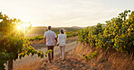 Love, walking and holding hands with old couple in vineyard for romance, anniversary date and bonding. Sunset, retirement and support with senior man and woman at winery for space, back and vacation