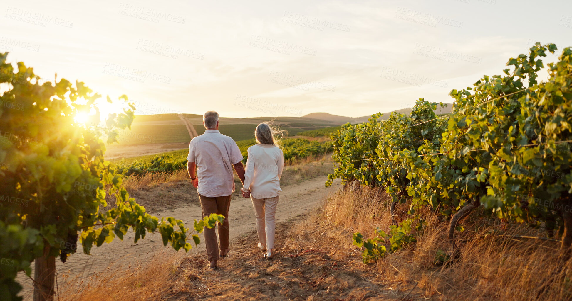Buy stock photo Love, walking and holding hands with old couple in vineyard for romance, anniversary date and bonding. Sunset, retirement and support with senior man and woman at winery for space, back and vacation