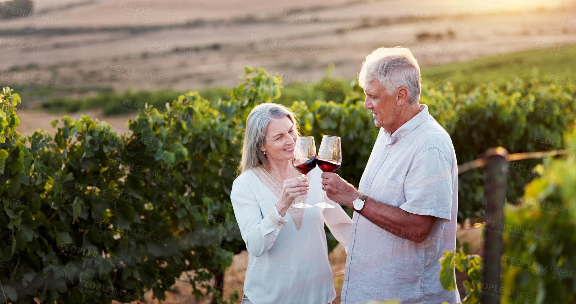Buy stock photo Drink, cheers and wine with old couple in vineyard for romance, anniversary date and bonding. Happiness, retirement and support with senior man and woman at winery for toast, relax and vacation