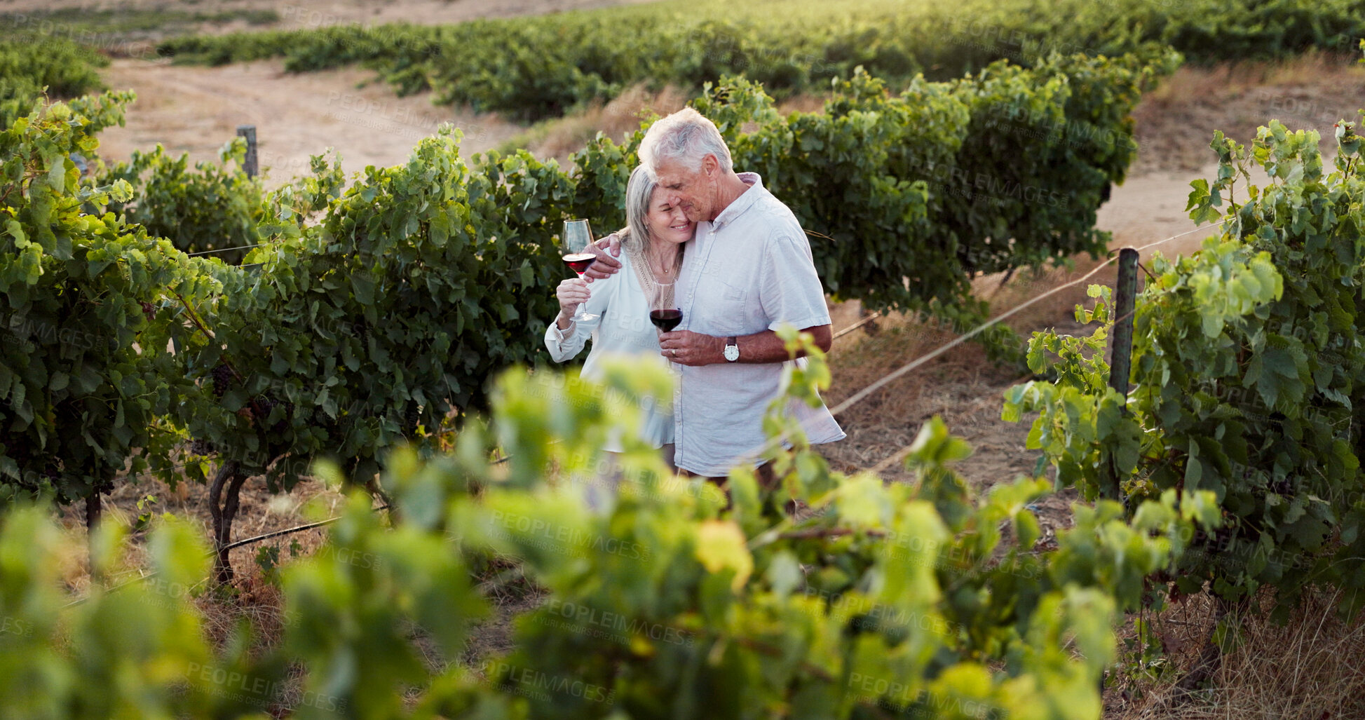 Buy stock photo Hug, smile and wine with old couple in vineyard for romance, anniversary date and bonding. Happiness, retirement and embrace with senior man and woman at winery for alcohol, relax and vacation