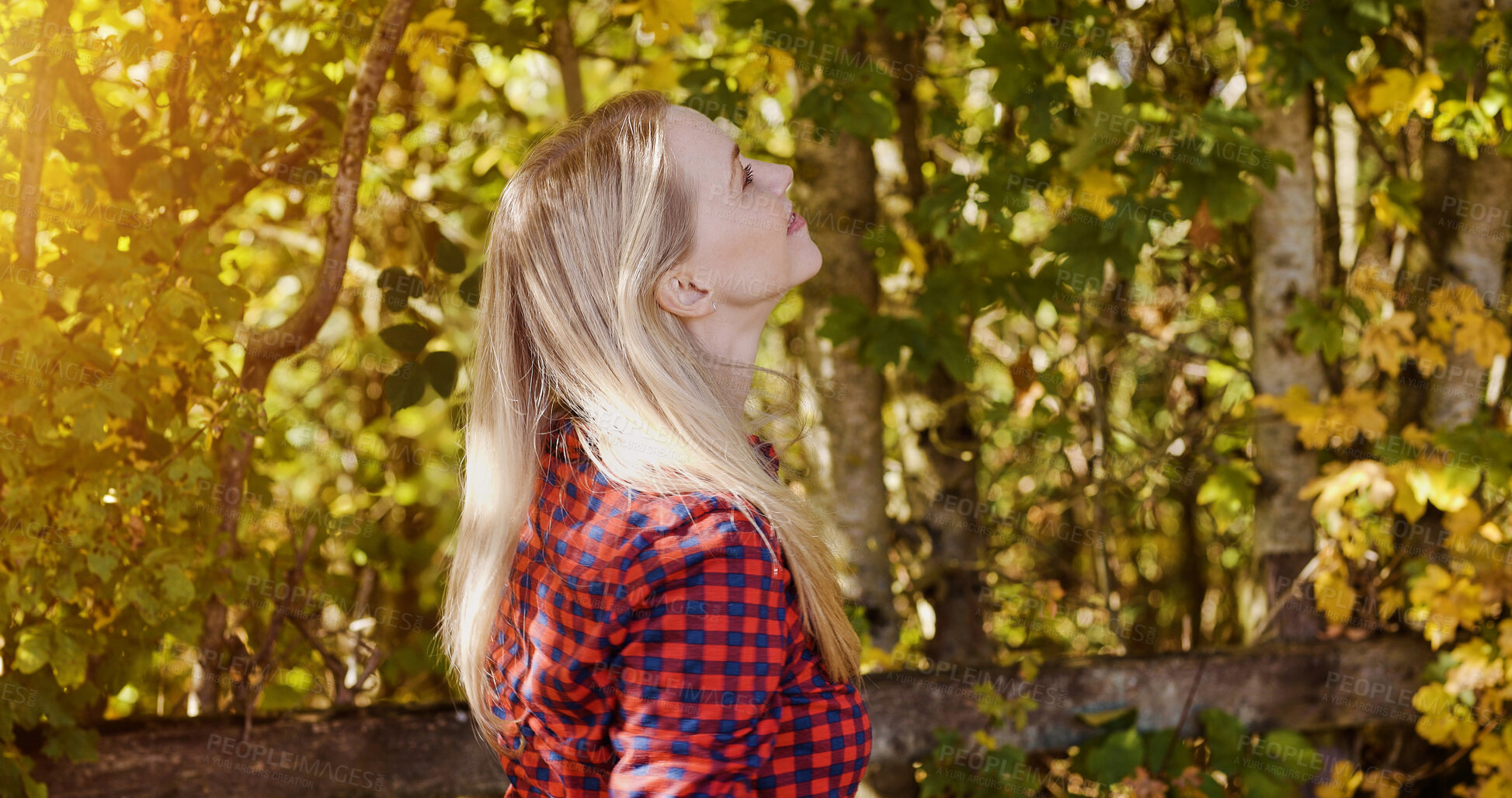 Buy stock photo Thinking, nature and profile of mature woman by the trees in an outdoor park, field or garden. Happy, daydreaming and female person from Canada walking by green leaves and plants for fresh air.