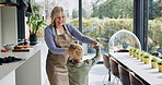 Happy, dance and grandmother with child in kitchen with celebration, energy and bonding in home. Senior, woman and holding hands with kid for fun, games or moving together with rhythm, love or care