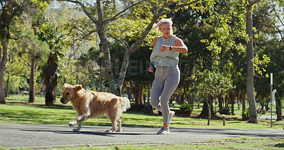 Buy stock photo Dog walking, running and time with woman in park for cardio exercise, fitness or health hobby. Leash training, pet obedience and watch with mature animal owner outdoor in nature for summer workout