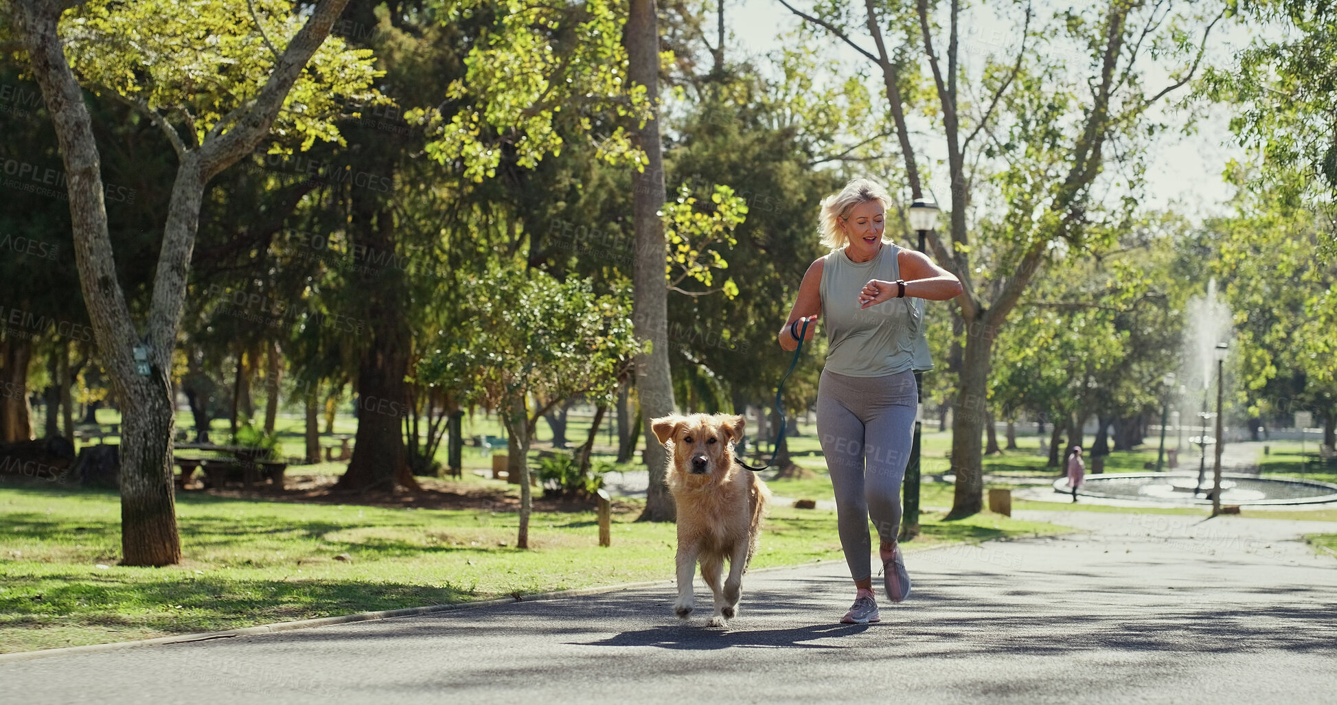 Buy stock photo Dog walking, running and watch with woman in park for cardio exercise, fitness or health hobby. Leash training, pet obedience and time with mature animal owner outdoor in nature for summer workout