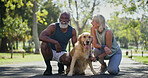 Park, couple and laughing with dog for walking with fitness, exercise and workout. Outdoor, mature people and smile in relationship as pet owners for animal adoption with bonding, support and care