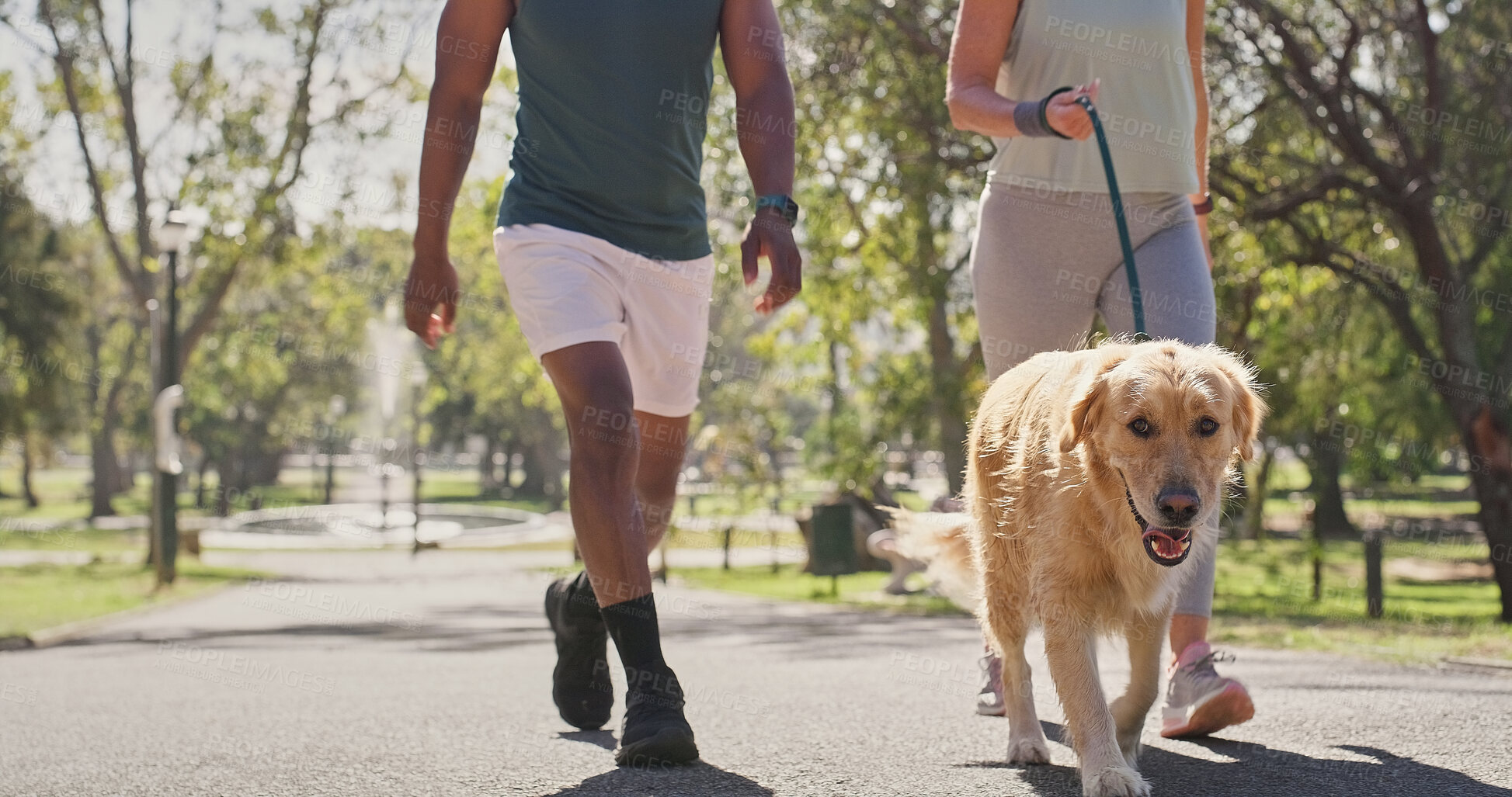 Buy stock photo Park, couple and legs for walking with dog with self care, support and fitness with adoption. People, interracial relationship and exercise outdoor with pet or animal for health, workout and wellness