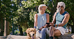 Mature couple, dog and park with phone and funny joke with social media and pet outdoor. Morning, love and laugh of interracial relationship with animal, fitness break and tech with golden retriever