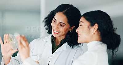 Buy stock photo Women, scientist and plant in petri dish in lab for research, growth inspection and agriculture study. Smile, people and check leaves with natural innovation, medical solution and experiment progress