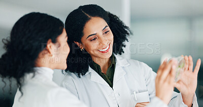 Buy stock photo People, scientist and plant in petri dish in lab for research, growth inspection and agriculture study. Smile, women and check leaves with natural innovation, medical solution and experiment progress