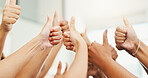 Closeup, people or hands to vote with thumbs up, good job or well done symbol with teamwork. Group, poll or voters with success, like gesture or yes sign for positive review or community development