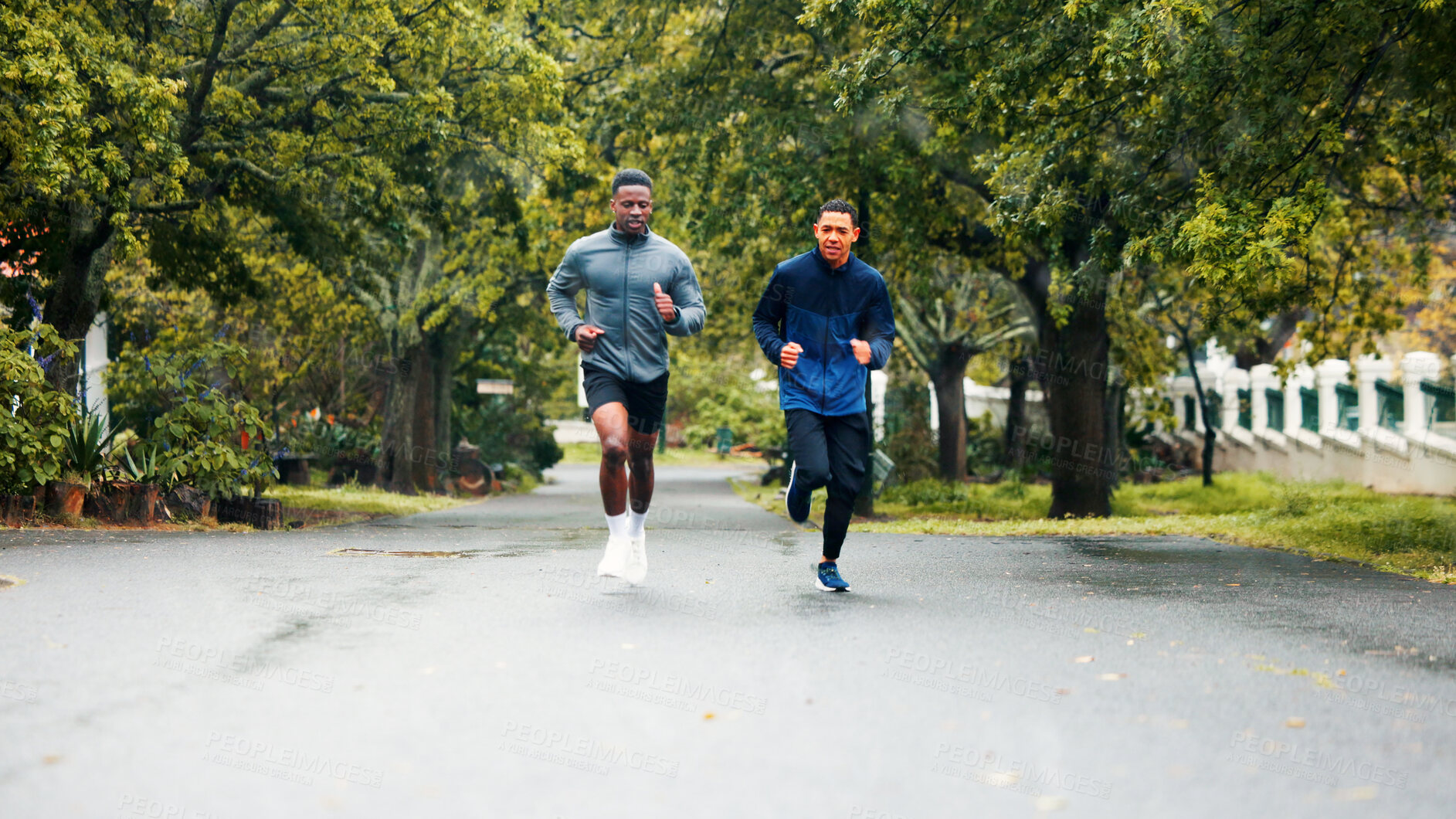 Buy stock photo Athlete, fitness and men running in road for marathon training, endurance and discipline with cardio challenge. Friends, teamwork and runner club with healthy workout, morning jog or exercise in rain