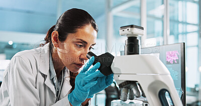 Buy stock photo Scientist, woman and research with microscope at lab with sample, particles and test with pharma career. Person, gloves and equipment with process for medical innovation, vaccine and clinical study