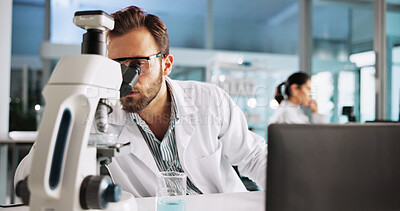 Buy stock photo Scientist, man and microscope analysis in laboratory for medical research, sample testing and treatment innovation. Biotechnology, science equipment and bacteria study for pharmaceutical development