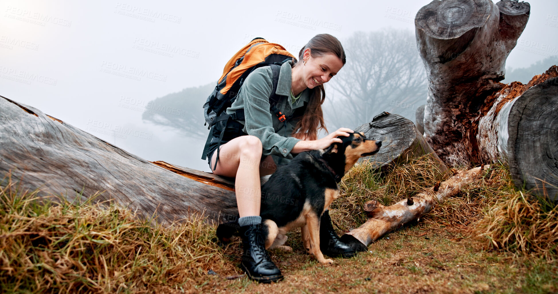 Buy stock photo Woman, dog and happy with hiking in forest on tree trunk, fog and bonding with rest on adventure. Person, stroke and pet animal with love, outdoor and backpack in woods with connection in Argentina