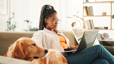 Buy stock photo Laptop, relax and woman student with dog on sofa in living room of home for browsing or education. Bonding, computer or learning with labrador and pet owner in apartment for development or study