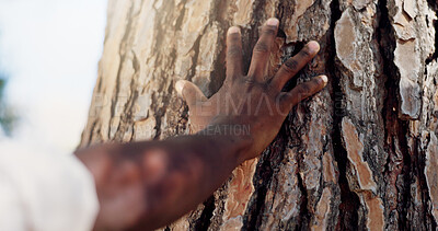 Buy stock photo Person, tree and hand with woods, nature or forest for hope, love or sustainability on Earth day. Outdoor, eco friendly closeup or climate change protest for deforestation, countryside or environment