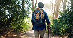 Hiking, backpacking and back of man in nature for adventure, trekking and travel. Mountain, fitness and person walking with stick for wellness, fresh air and exercise to explore outdoor forest