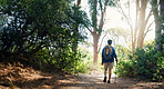Hiking, walking and back of man on mountain with backpack for adventure, trekking and travel. Nature, fitness and person outdoors with stick for wellness, fresh air and exercise to explore outdoor