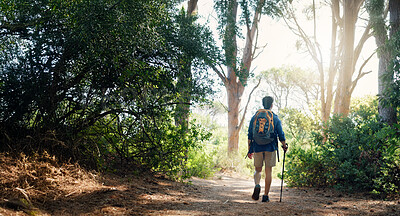 Buy stock photo Hiking, walking and back of man on mountain with backpack for adventure, trekking and travel. Nature, fitness and person outdoors with stick for wellness, fresh air and exercise to explore outdoor