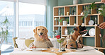 Date, waiter and payment with dogs in restaurant for dinner service, romance and animal loyalty. Fine dining, celebration and relationship with couple for pet friendly cafeteria, love and bonding