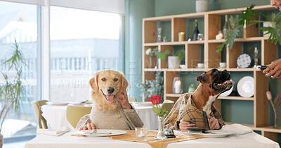 Buy stock photo Date, waiter and payment with dogs in restaurant for dinner service, romance and animal loyalty. Fine dining, celebration and relationship with couple for pet friendly cafeteria, love and bonding