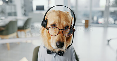 Buy stock photo Headset, spectacles and dog call center agent for dress up or funny role play for customer service. Pet, animal and golden retriever puppy with glasses for cute costume for technical support.