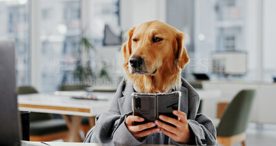 Buy stock photo Phone, research and consultant with business dog in office for pet insurance agent, health premium and advisor. Veterinary claims broker, mobile and animal policy with golden retriever in agency