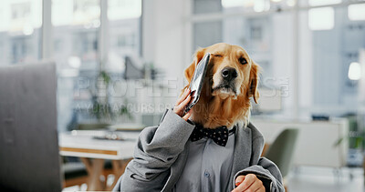 Buy stock photo Phone call, contact and office with business dog consultant for pet insurance agent, health premium and advisor. Veterinary claims broker, communication and animal policy with golden retriever