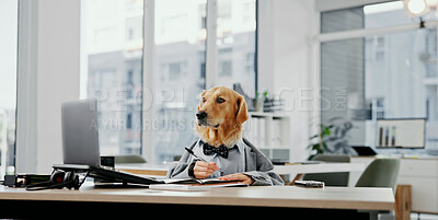 Buy stock photo Laptop, planning and writing with business dog in office for administration, online report or research. Comic, notebook and space with labrador employee in professional workplace for management