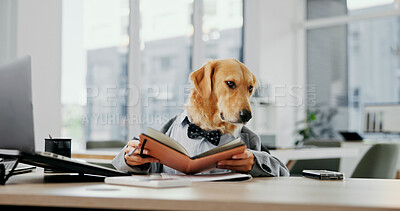 Buy stock photo Business, dog and notebook at desk in office for finance protection, pet insurance notes and comic planning. Financial advisor, animal and thinking at workplace for agenda calendar and fun role play