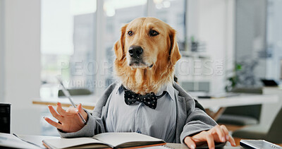 Buy stock photo Writing, planning and notebook with business dog in office for pet ambassador, research and consultant. Animal welfare, paperwork and schedule vet appointments with golden retriever in agency